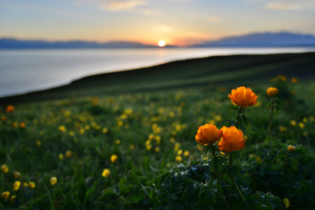 ��������l(xi��ng)�ĸ����