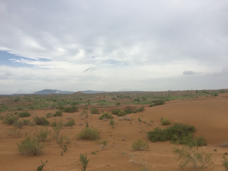 �v����ɳĮ�޾W(w��ng)������ݷ����ﲼ�M�[�d��ɳ��ֲ����