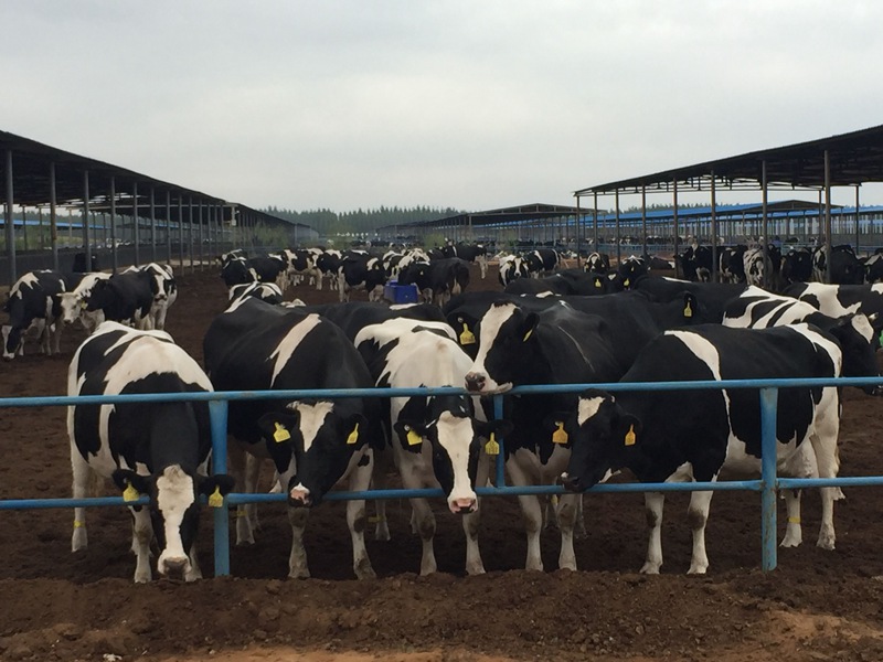 ���w��ɳĮ�ｨ�O(sh��)����ţ����