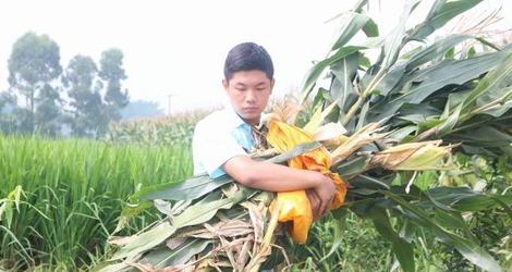 ���G���ˡ��Ƽ�֧�r(n��ng)�������(hu��)��(sh��)�`