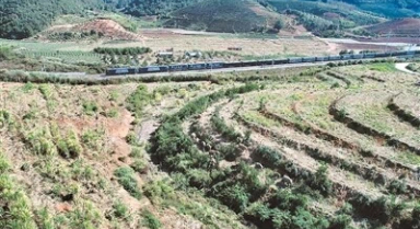 中老鐵路上的“護(hù)象人”